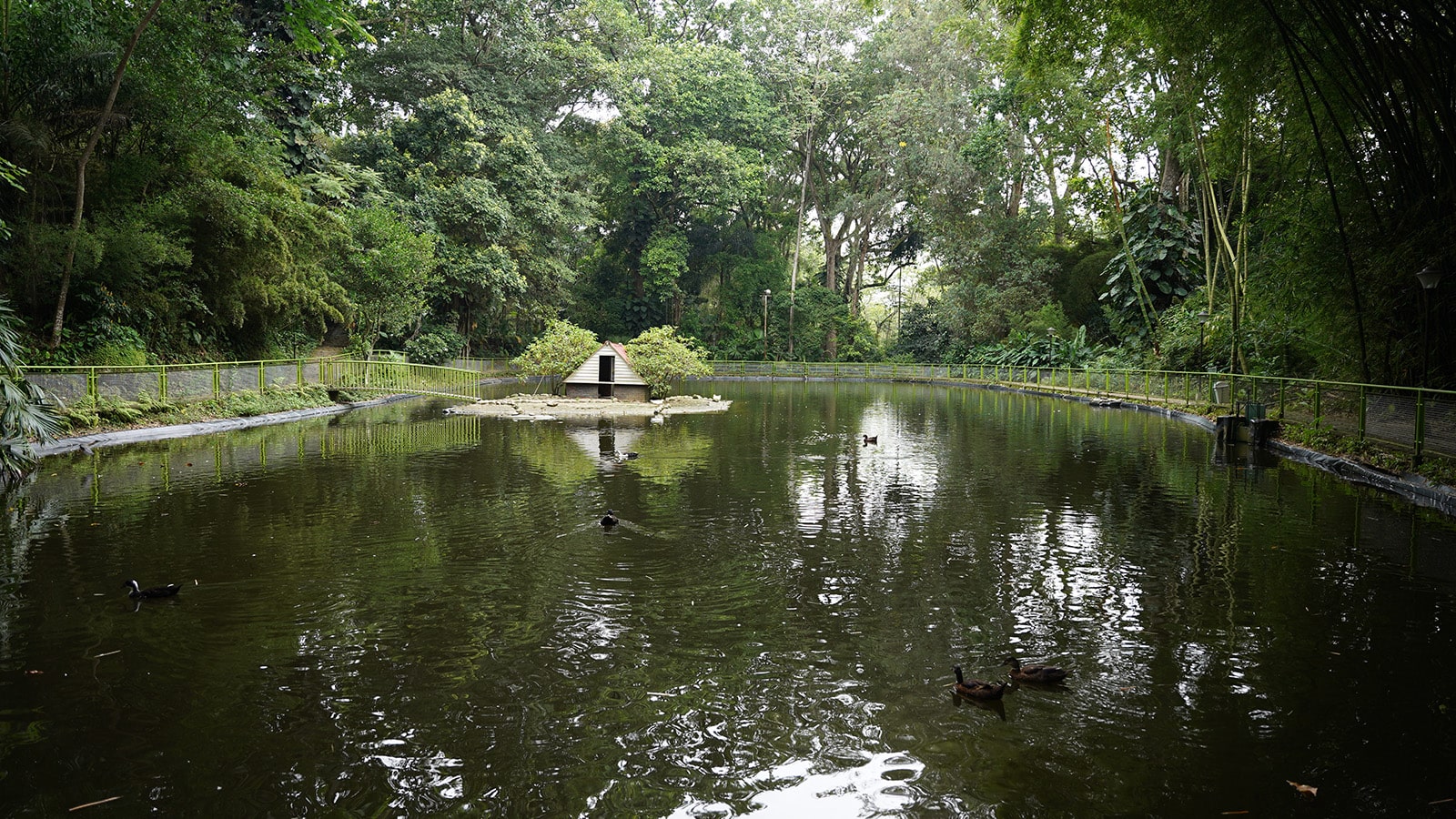 Jardín Botánico (Archivo) -- Andres Santamaría